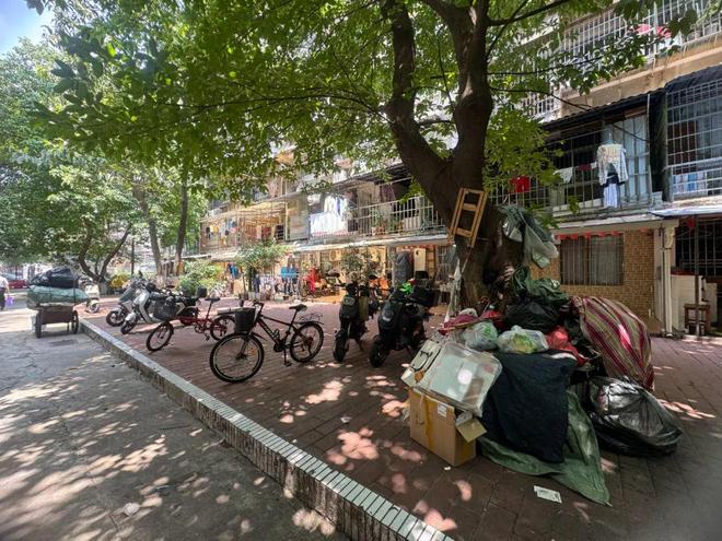 和东原拆原建老破小有救了最高7000元平！越秀共(图12)